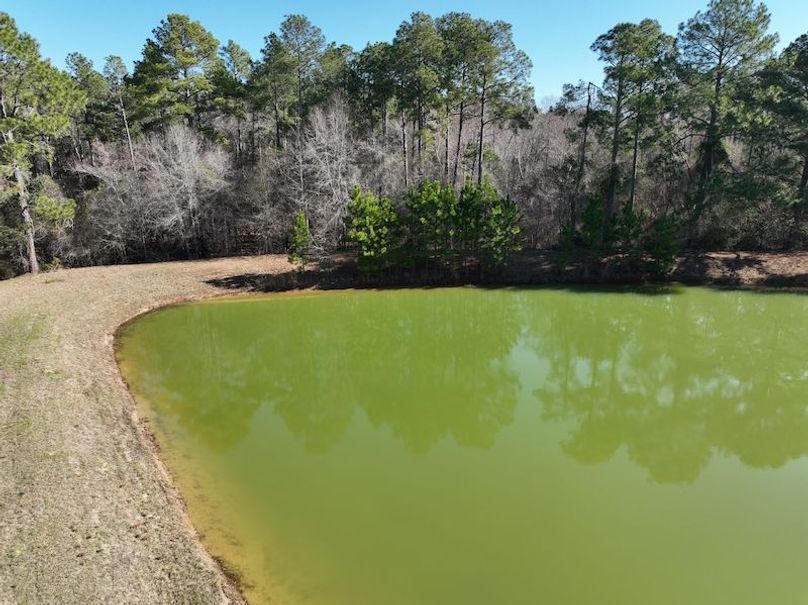 dji_fly_20240207_104306_61_1707320783196_photo