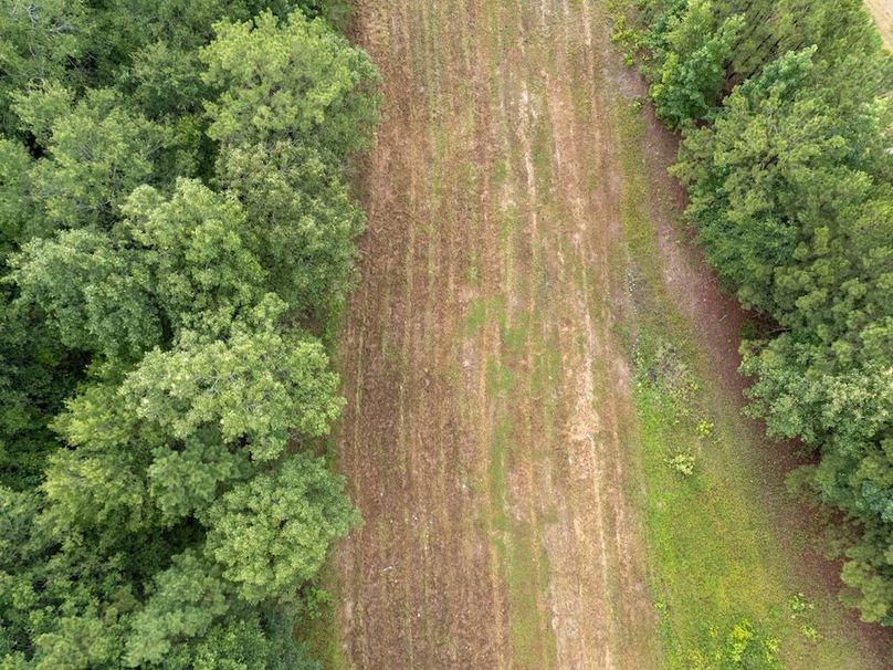 31 Panola Co. 40ac - Rouse-52