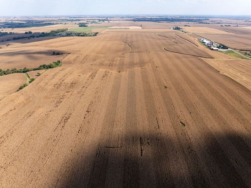 Copy of Whiteside 181_15