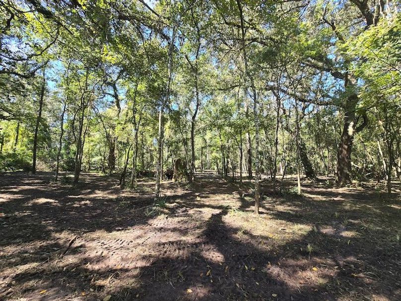 7.8ac, Citrus, Andrew Goering21