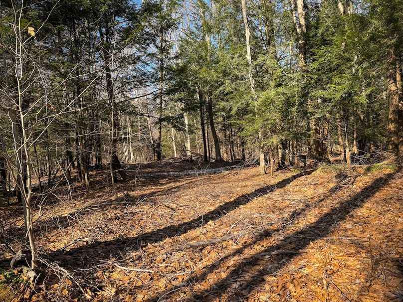 Oswego_16.32_Phillips Photo 14