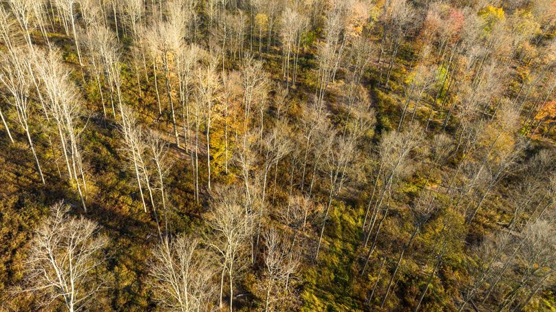 Elk PA 7000 Feature_Pro Photo-142