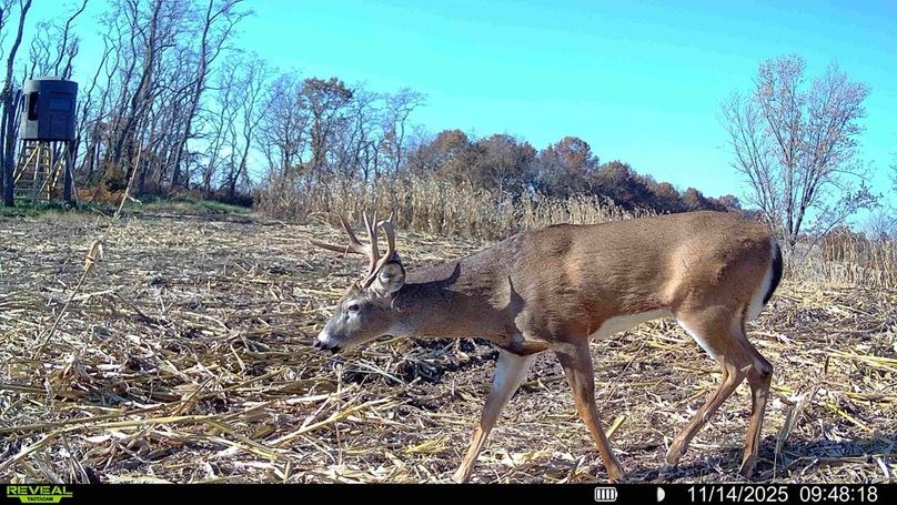 016578004299738-100-4-11142025105001-HD-SYFW01747