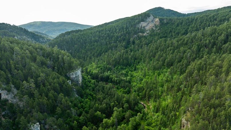 Copy of Lawrence SD 50 Featured_ProPhoto-29