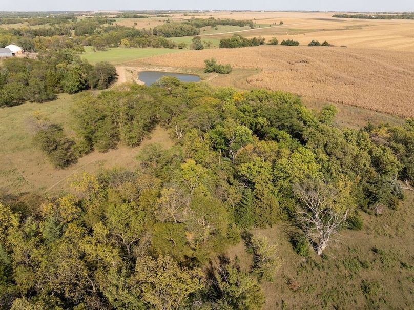 DJI_20251002151224_0102_D