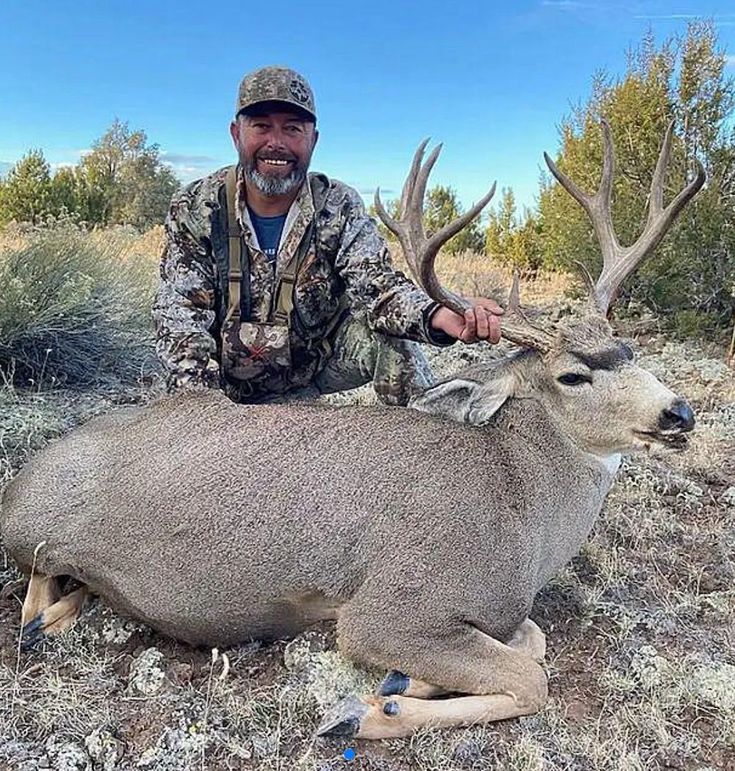mule deer harvest 2