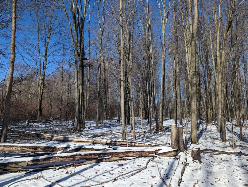 PXL_20230202_162726022