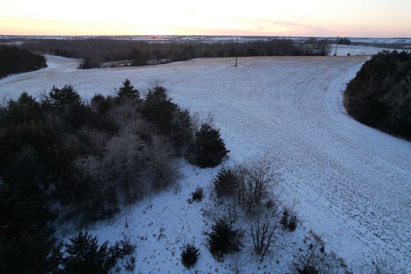DJI_0559