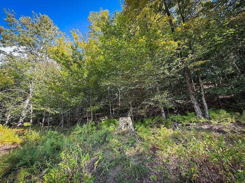 Oswego NY 18.18 Martin Photos 43