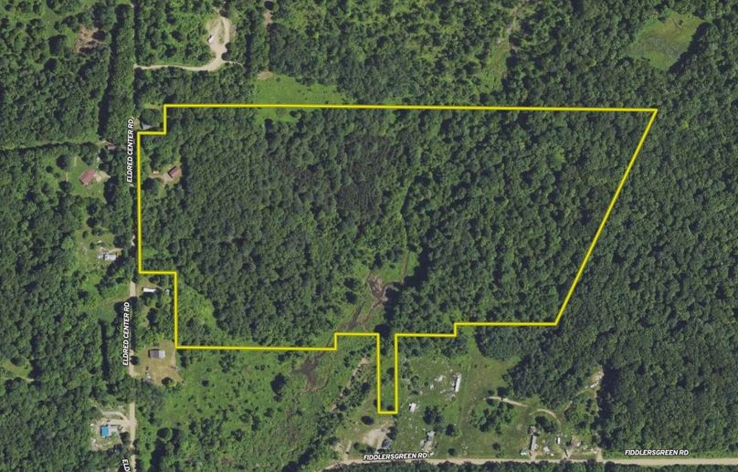 Screen Shot 2024-06-03 at 4.31.19 PM