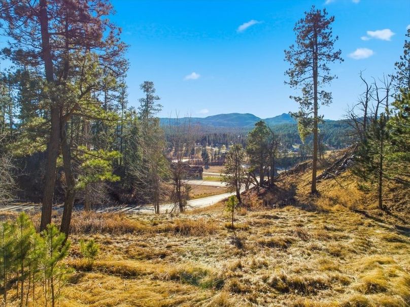 1.2 TBD Wildberger Court-14