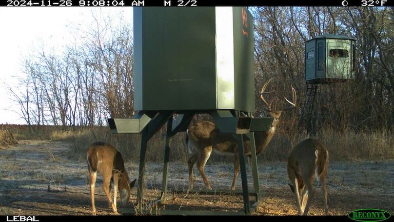 Copy of c208c46a18ae24d3a9f8919b1b89dc41-large