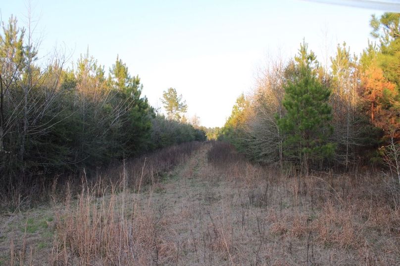 BC639266-576B-4184-9615-EA01A75D07D8_1_105_c