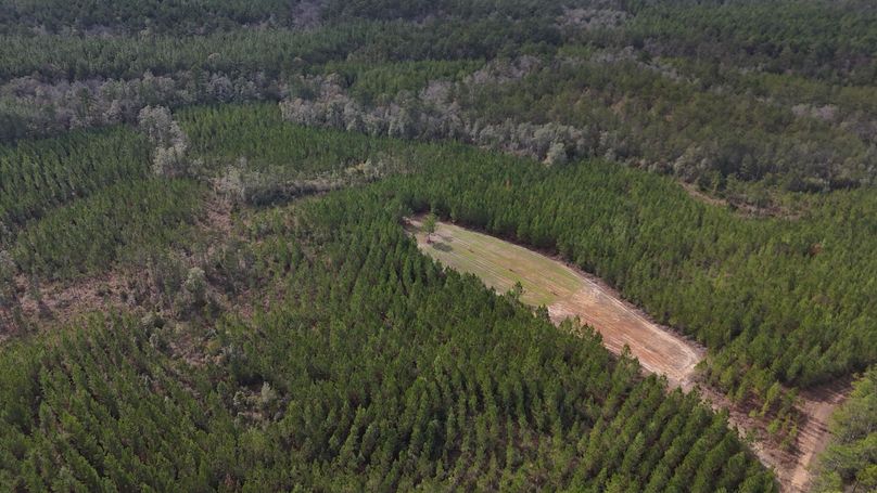 DJI_20231214123002_0003_D