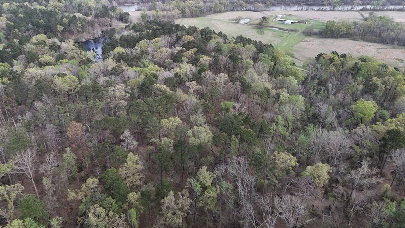 DJI_20260311235232_0062_D