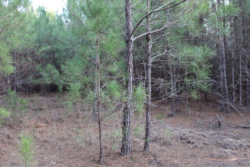 A8C41E33-3922-47E4-AE38-CC8459901B26_1_105_c