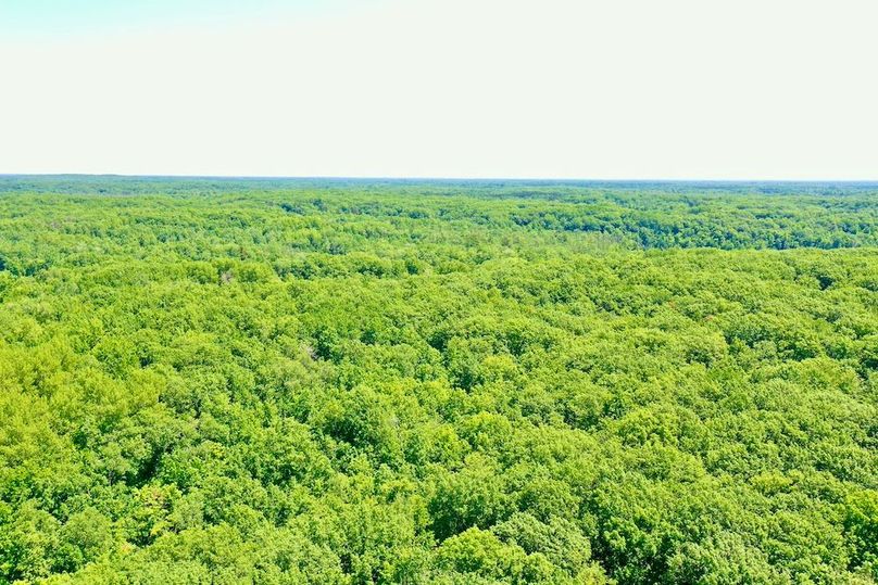 DJI_0010
