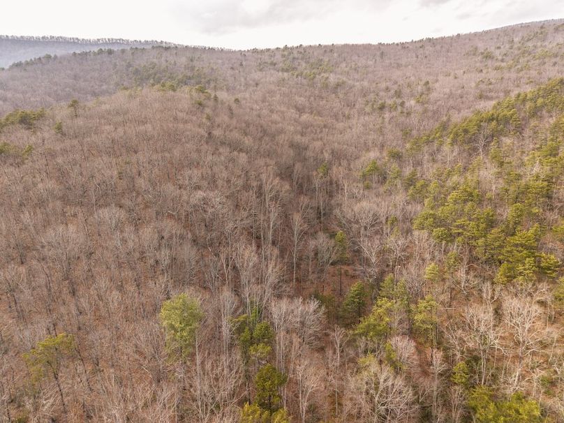 DJI_20260304155127_0004_D