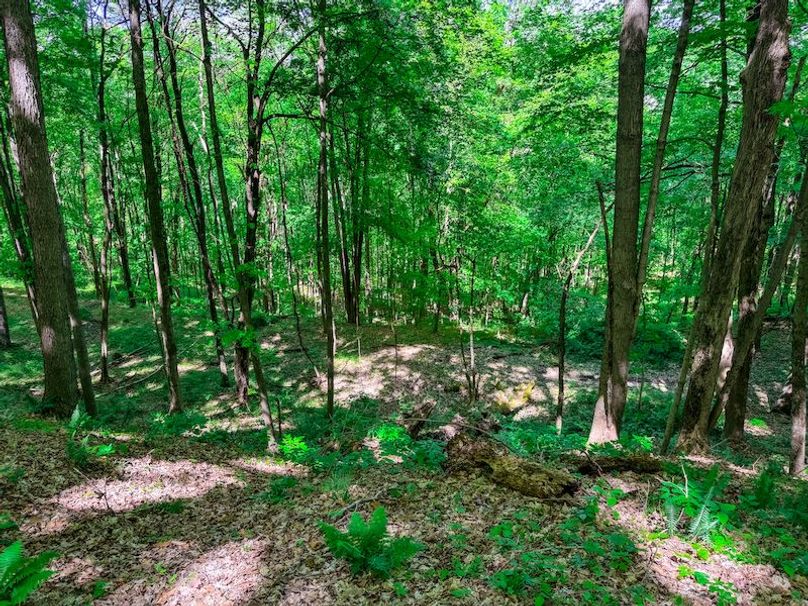 Tyler, WV 161.03 AC Fitzsimmons-090