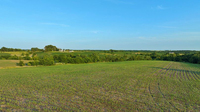 Harrison MO 480 Pro Photo_230 (2)