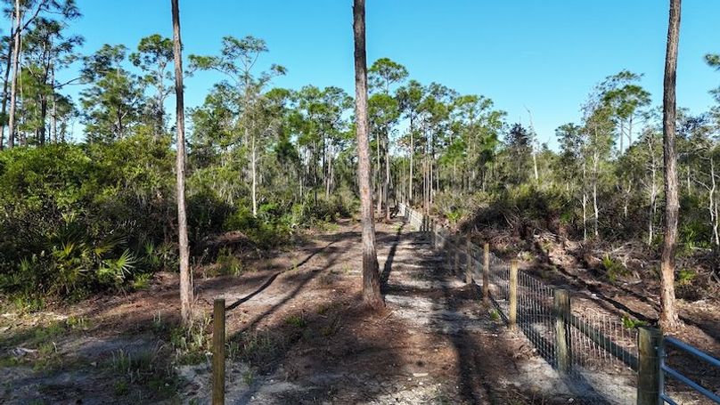 DJI_20260402084350_0413_D