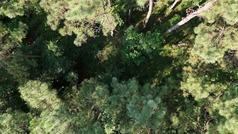 DJI_20250627100116_0119_D