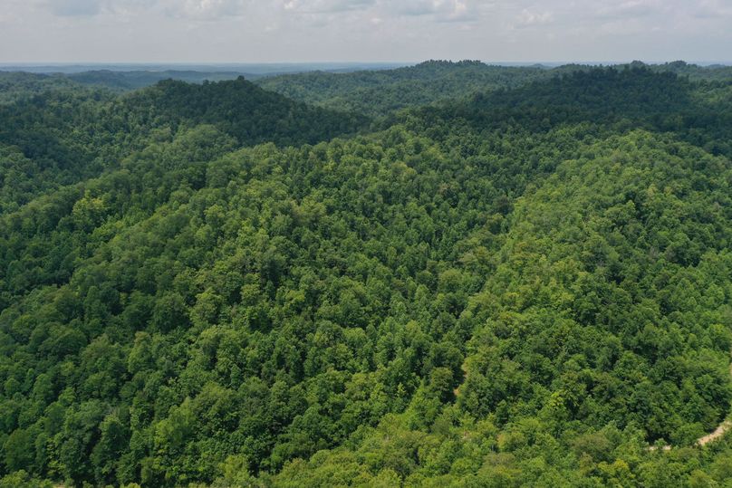 027 mid elevation aerial drone shot from the east boundary looking west