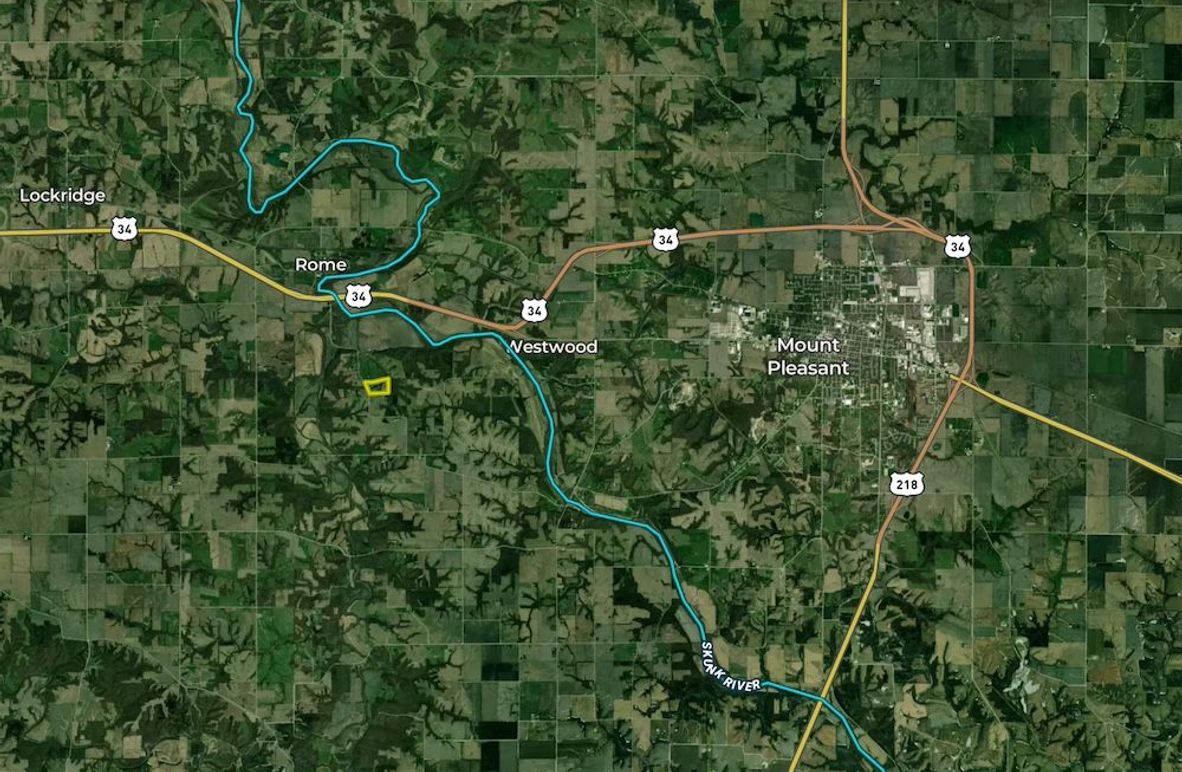 Henry IA 30 LandID 6