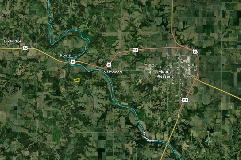 Henry IA 30 LandID 6