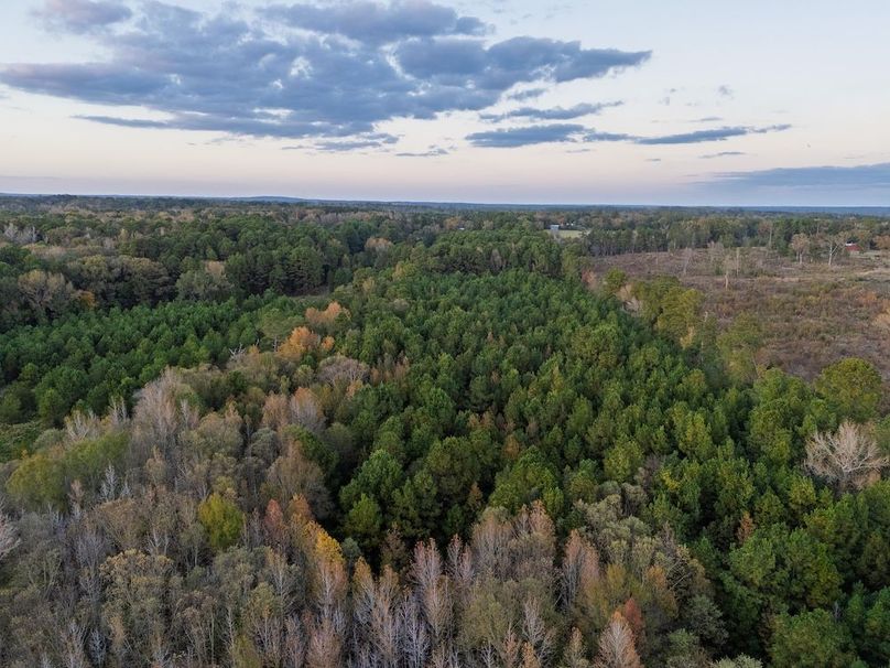 DJI_20251112172033_0004_D