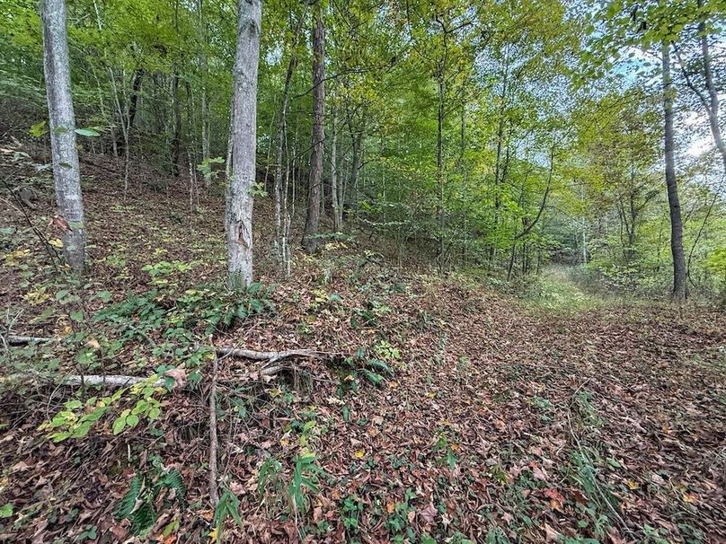 Greenup 77.28 Holsinger-34