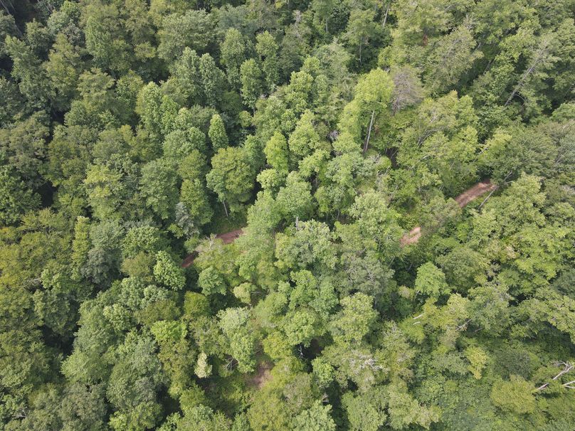 Swain 39 Tysinger-33