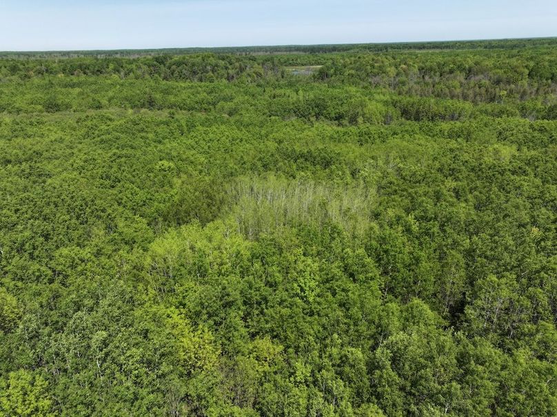 DJI_20250601163029_0008_D