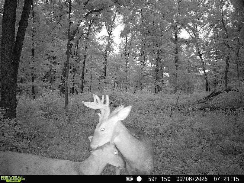 860322061882913-100-4-09062025085402-HD-SYFW0252