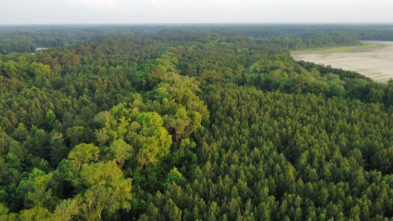 dji-fly-20230609-195614-35-1686354992353-photo-optimized