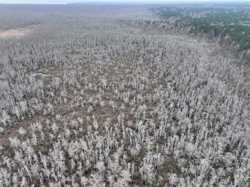 dji_fly_20260123_132514_0949_1769444770076_photo