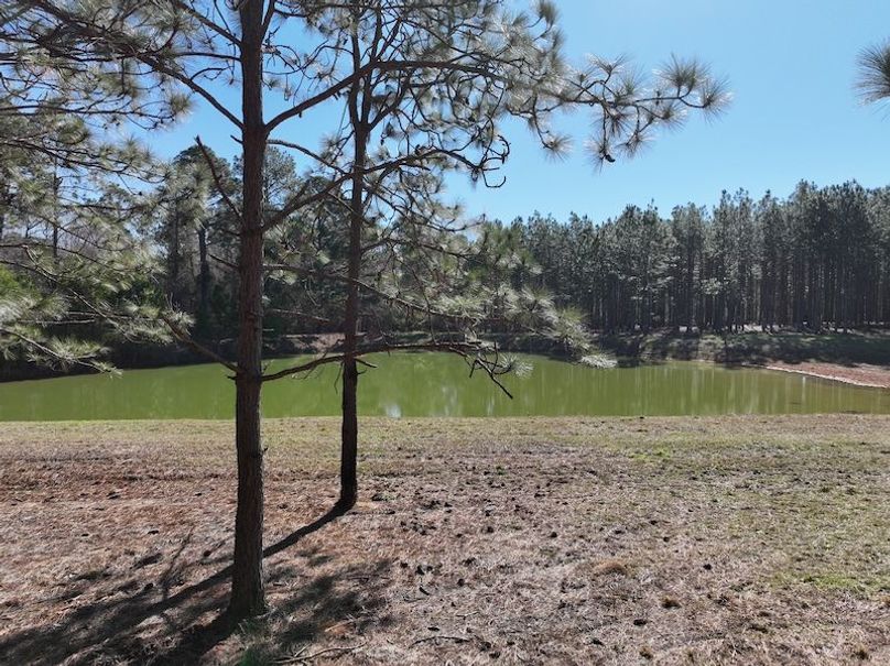 dji_fly_20240207_104328_64_1707320782310_photo