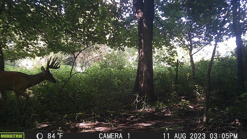 Screenshot 2023-08-16 at 12.21.59 PM