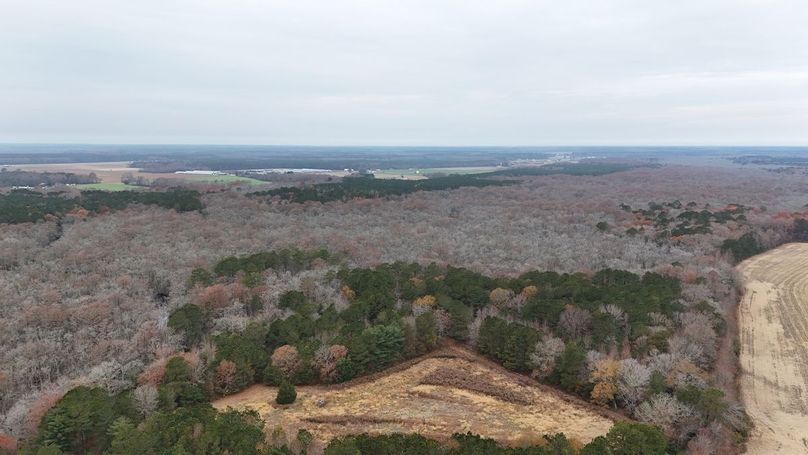 dji_fly_20251121_093222_0065_1763736168669_photo