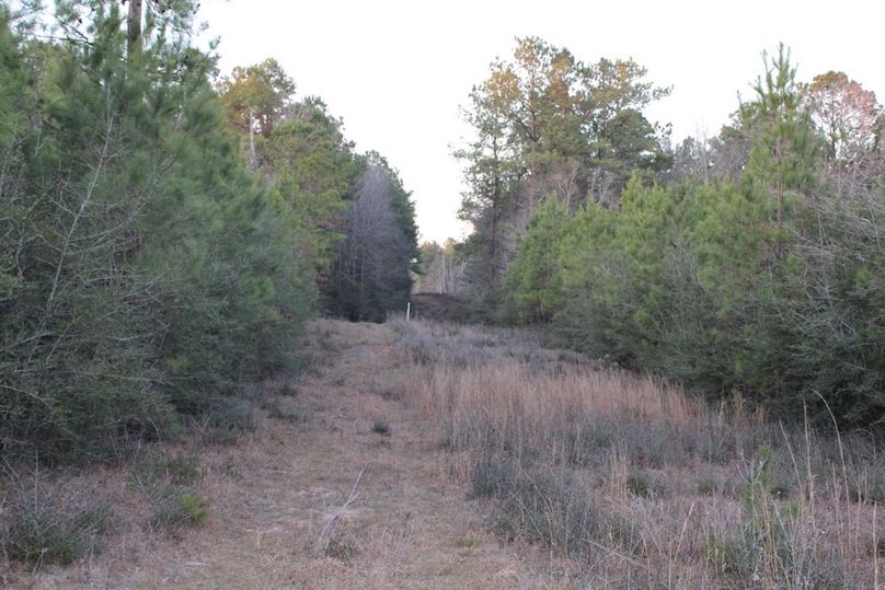 C289EA9F-984A-4C66-A1B2-E72459070674_1_105_c