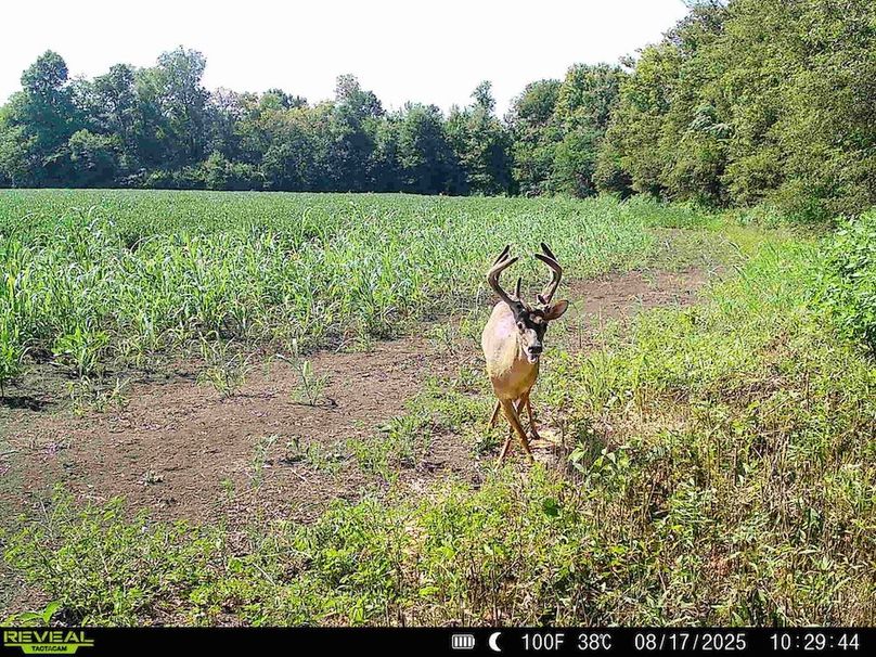 Copy of Copy of Noxubee 222.1 Trail Cam-5