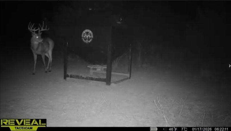 Screenshot_24-1-2026_91916_drive.google.com