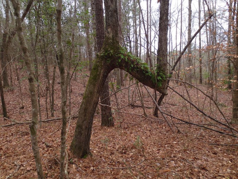 873BA914-47D9-41A0-9422-BEC298287608