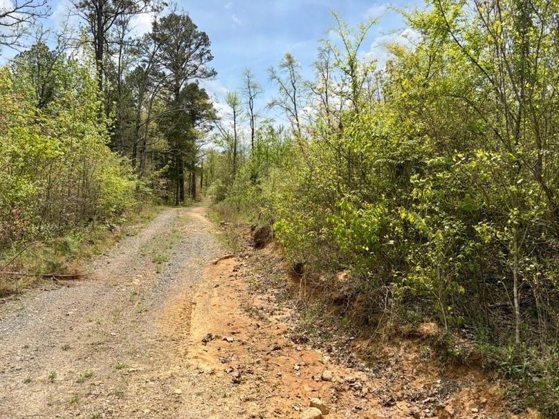 8E9BBE6C-528D-45C8-BAA5-A0FE0165FC13_1_105_c-2