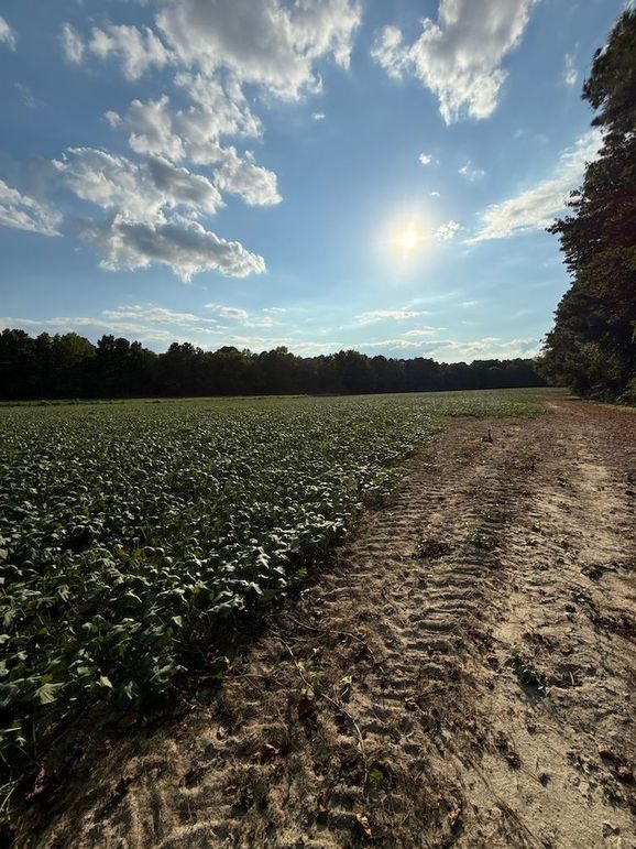 DJI_20250912_173056_761