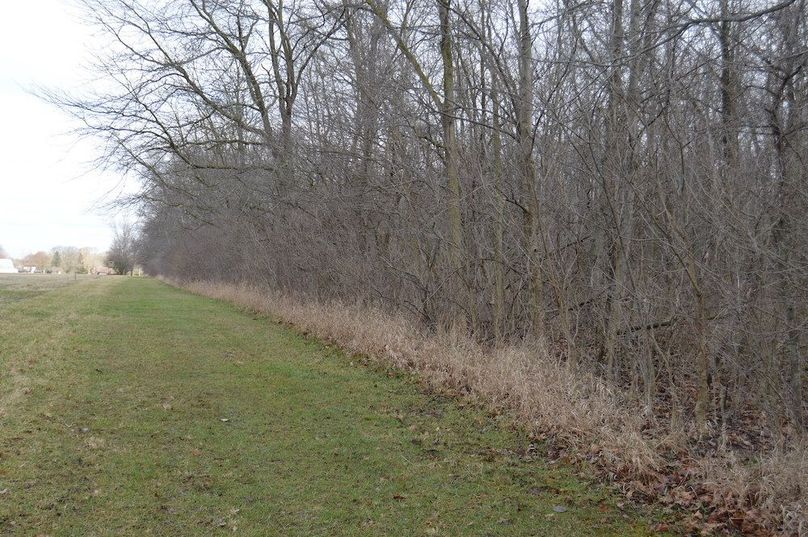 west edge of woods looking north