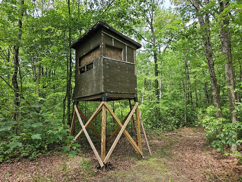 37.98ac_TempleRd_BGORE_08_OldBLIND