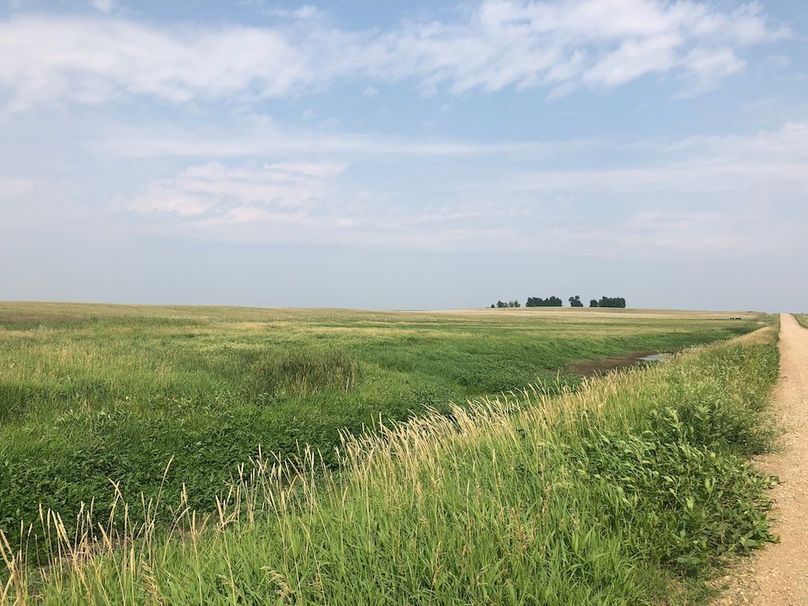 23. Looking E along Southern Boundary