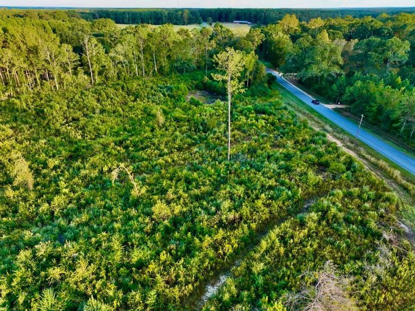 A4155EB7-9B09-4824-95FA-F8B9EFCD24F0_1_105_c-2