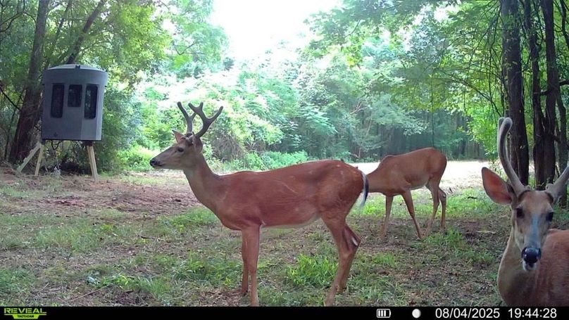 016578002181243-67-3-08042025194428-SYFW01364